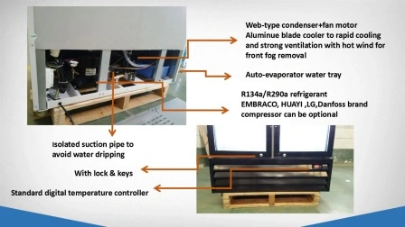 R290 Vitrina refrigerada vertical con puerta de vidrio doble Enfriador de bebidas y bebidas Exhibidor de puerta de vidrio